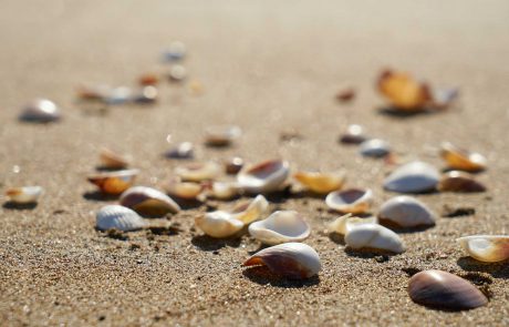 Depressionen Burnout